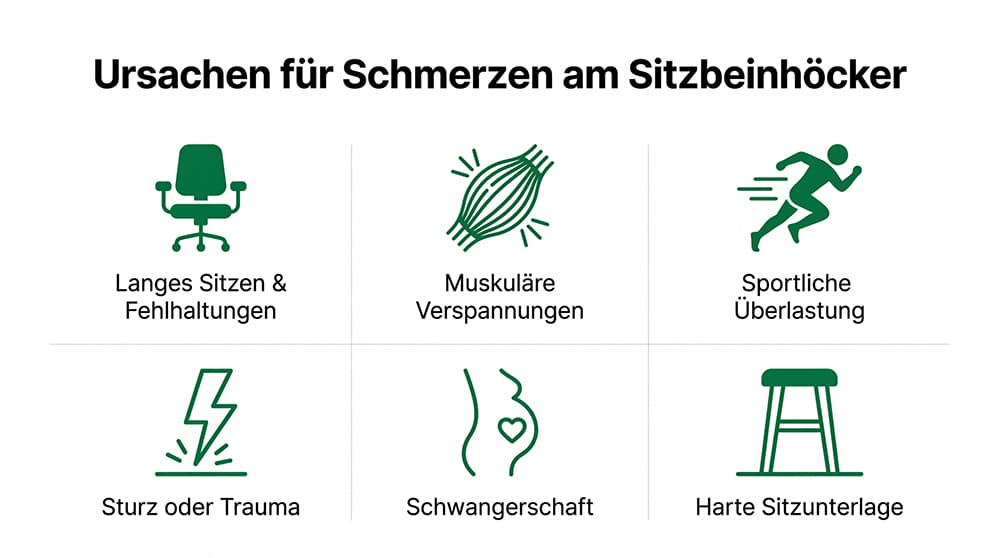 Infografik zu Ursachen von Sitzbeinhöcker-Schmerzen