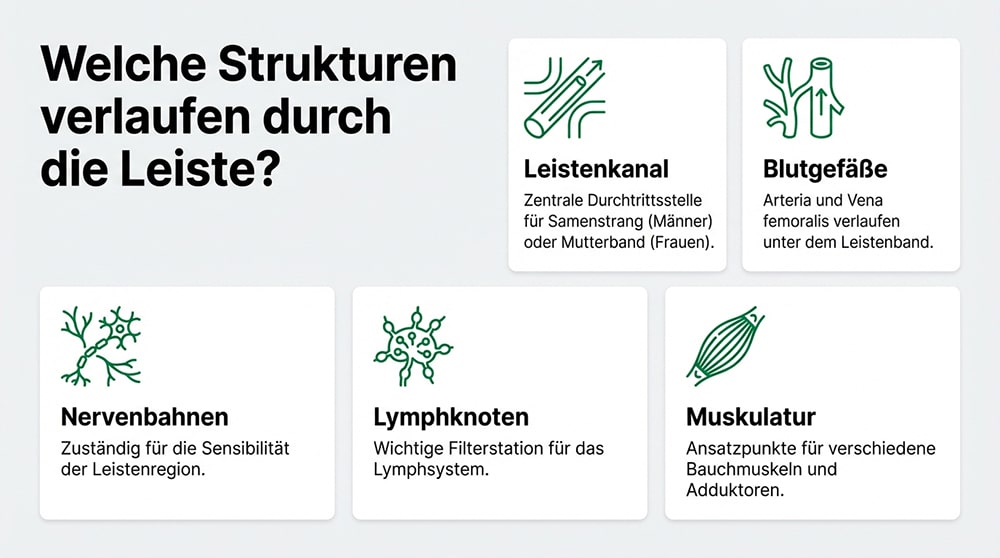 Infografik zu Strukturen der Leistenregion
